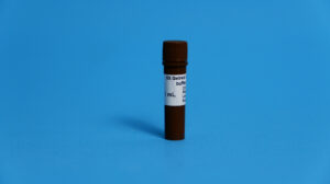 6x GELRED LOADING BUFFER