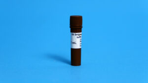 6X GelGreen Loading buffer With Tricolor