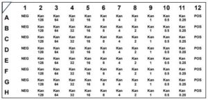 TopSPEC® Kanamycin MIC Test
