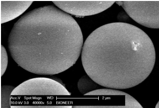 Hình 1. Hạt từ tính phủ silica