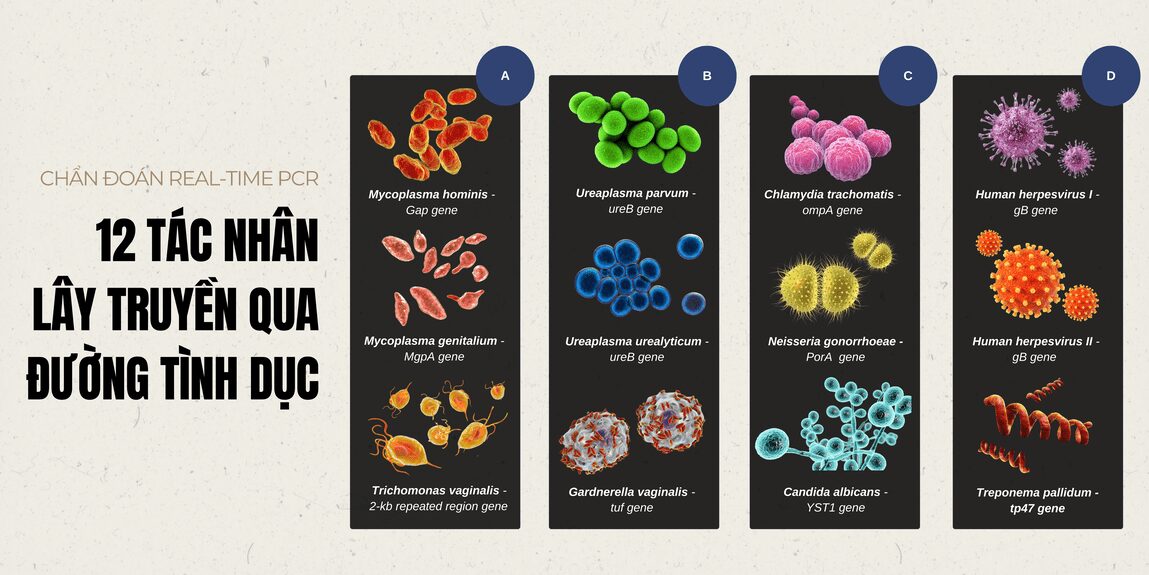 12 tác nhân bệnh tình dục