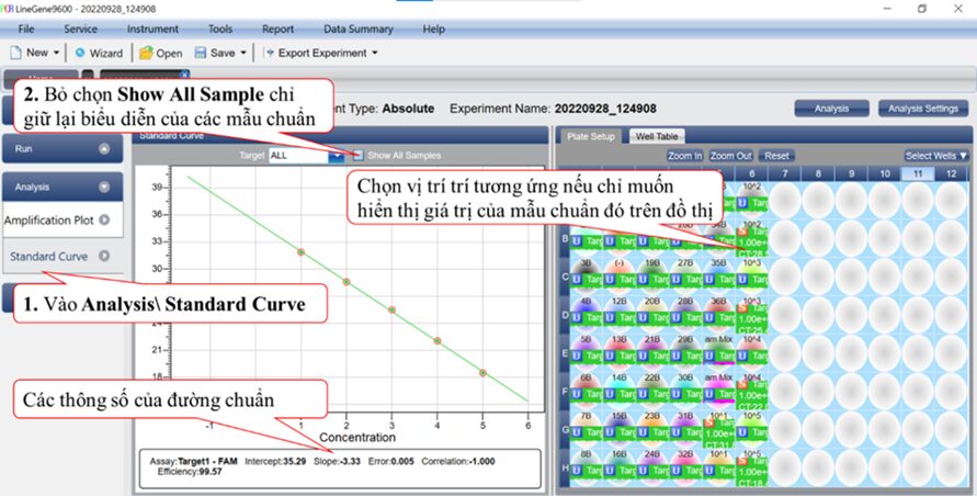 Hình 8. Xây dựng đường chuẩn qPCR