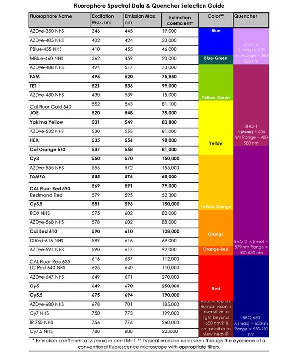 Bảng 1. Thông tin về chất phát huỳnh quang – chất hấp thụ phù hợp với bước sóng cụ thể.