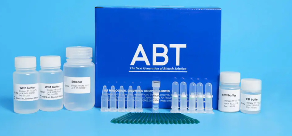 Xử lý bằng Bộ Kit TopPURE® Tissue Viral Extraction (HI-312)