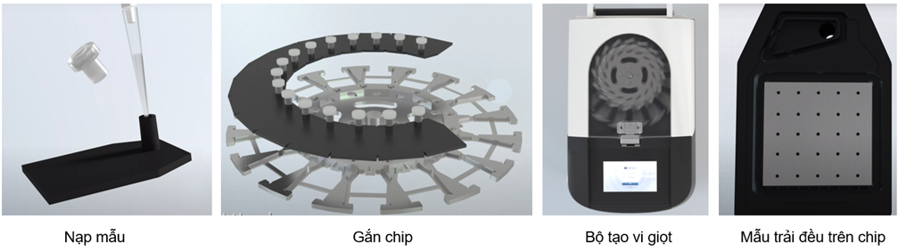Hình 2: Các bước nạp mẫu vào chip tạo vi giọt