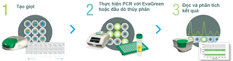 Hình 6: Quy trình chung thực hiện PCR kỹ thuật số vi giọt trên hệ thống QX200 Droplet Digital PCR (Bio-Rad)
