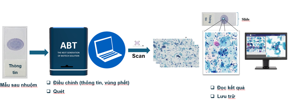 Hình 2. Quy trình số hóa tiêu bản tế bào học bằng công nghệ Whole Slide Imaging (WSI).