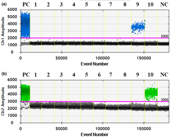 Hình 1. Độ đặc hiệu của phương pháp ddPCR. (a) tín hiệu của EHP kênh Ch1 (b) tín hiệu của VPAHPND kênh Ch2. Đường màu hồng ngưỡng phân biệt dương tính và âm tính.