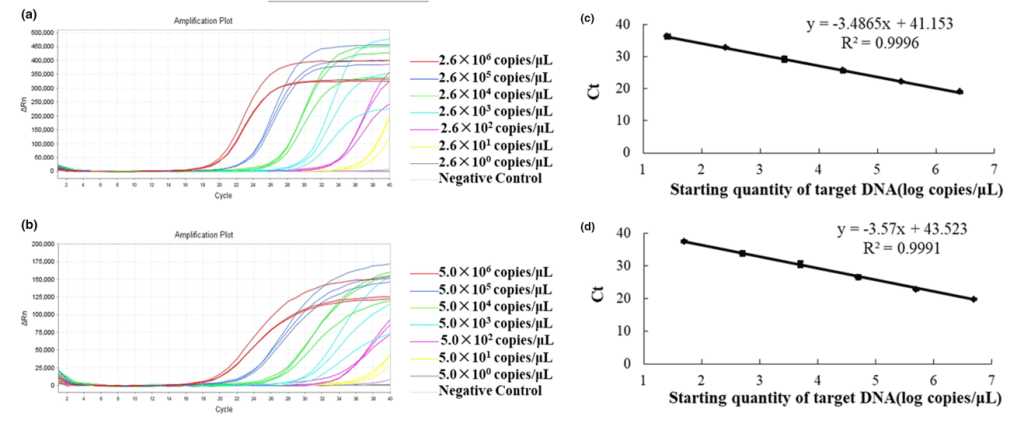 Hình 3. Độ nhạy phân tích và đường chuẩn của phương pháp qPCR. (a) Độ nhạy với EHP; (b) Độ nhạy với VPAHPND; (c) đường chuẩn của EHP; (d) Đường chuẩn với VPAHPND