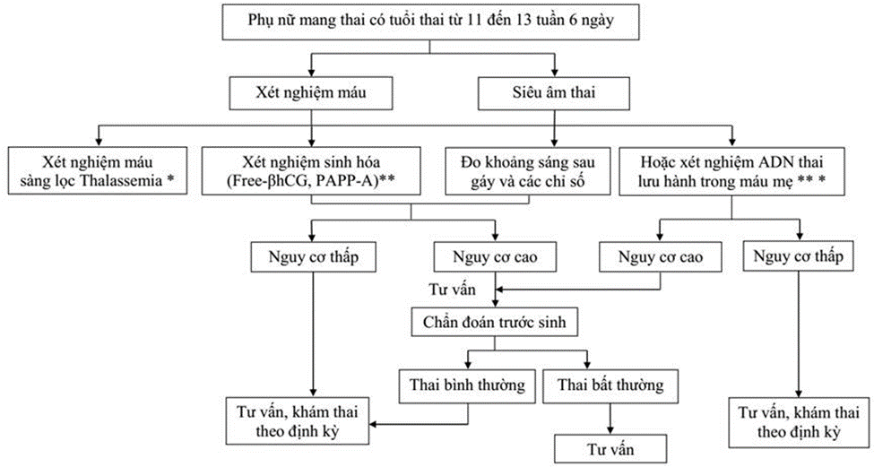 Sơ đồ 1: Quy trình sàng lọc, chẩn đoán bệnh tan máu bẩm sinh Thalassemia theo Bộ Y Tế (2020)