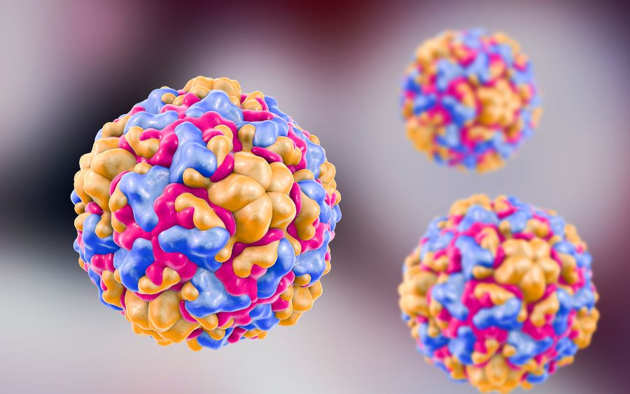 Enterovirus gây bệnh tay chân miệng