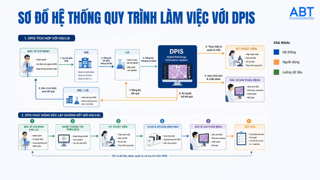 Sơ đồ quy trình làm việc hệ thống dữ liệu giải phẫu bệnh 